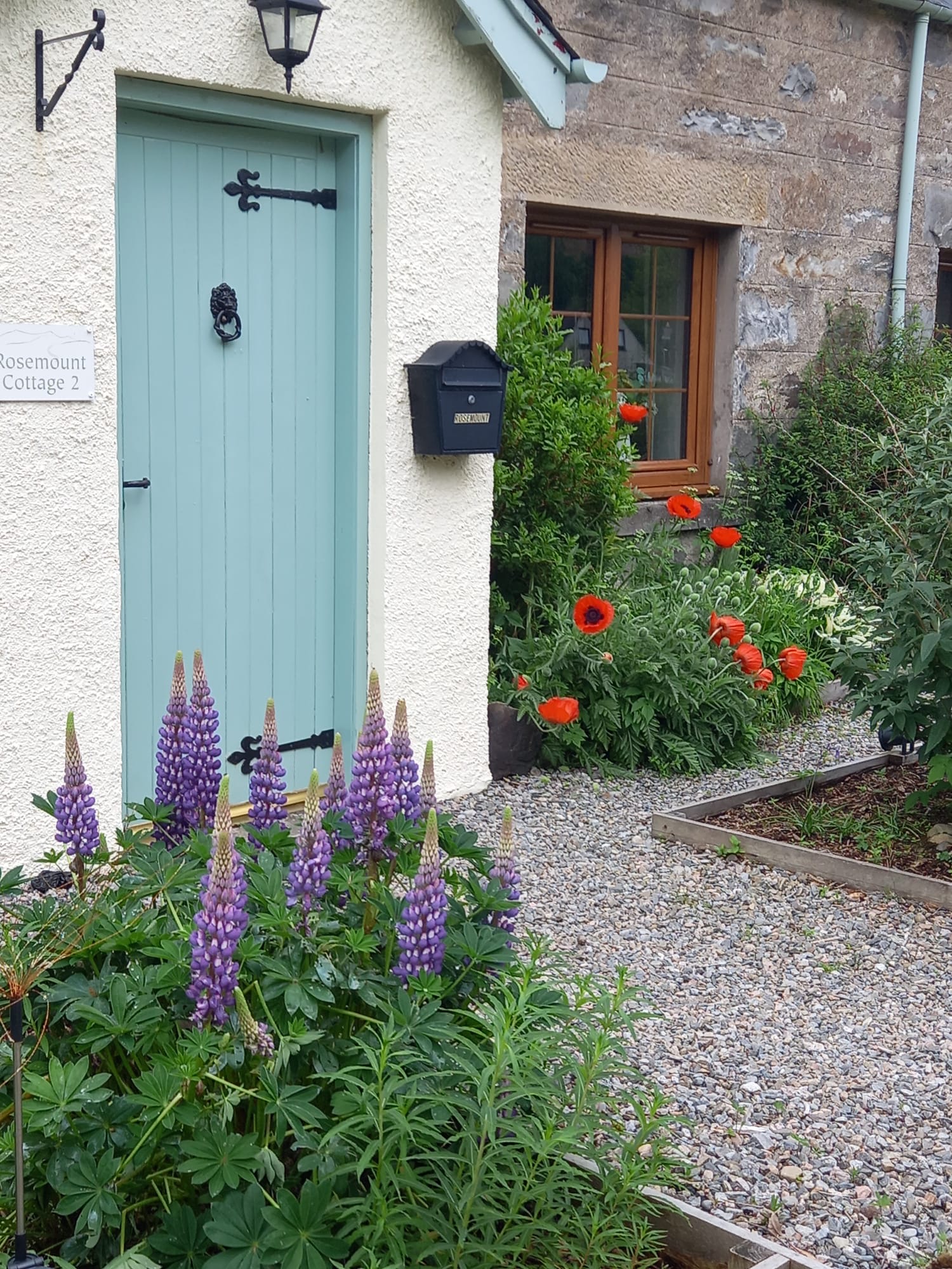 A well-maintained garden by Orange Pod Gardening