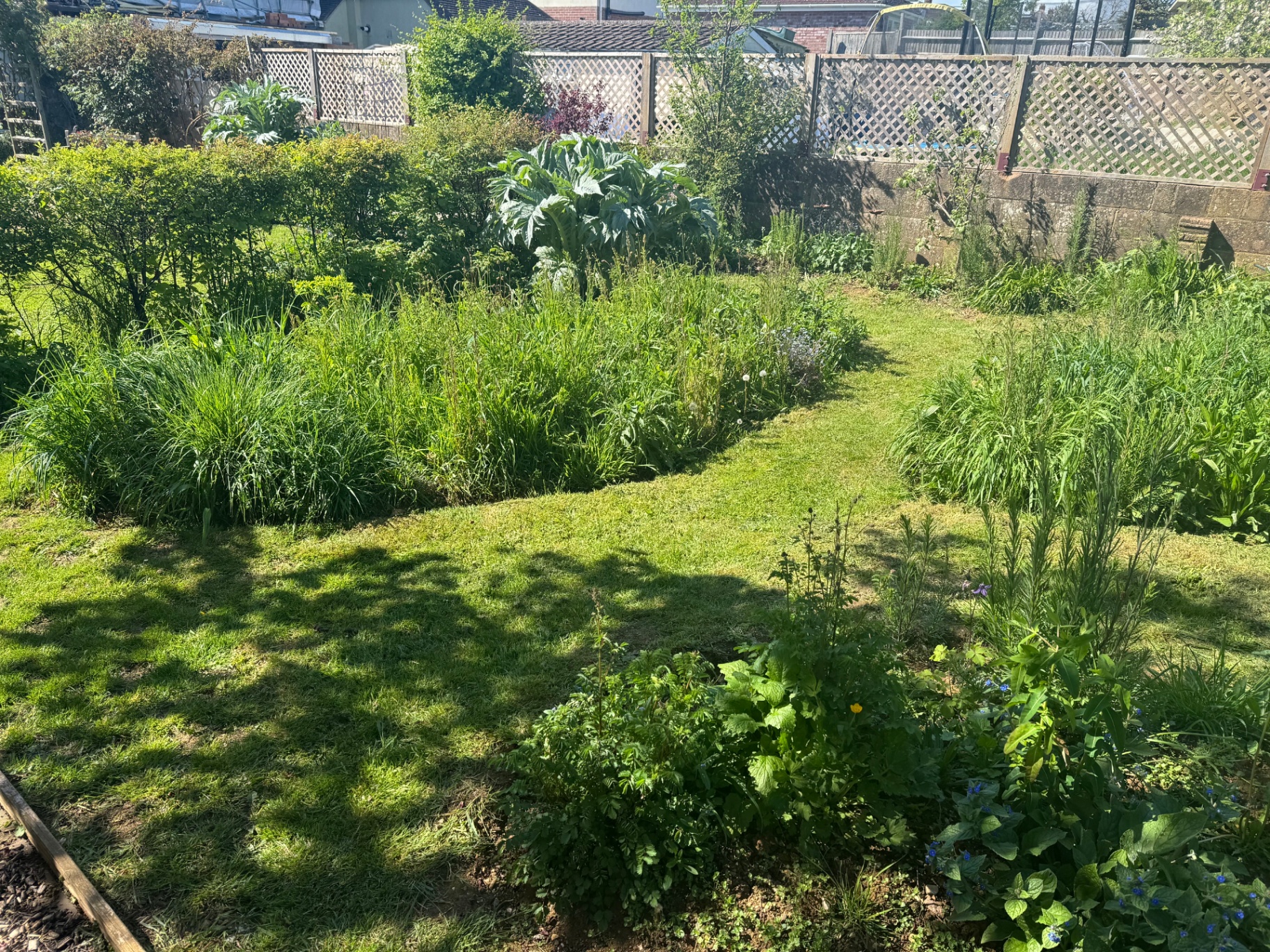 Native grasses and wildflowers establishing through the spring.